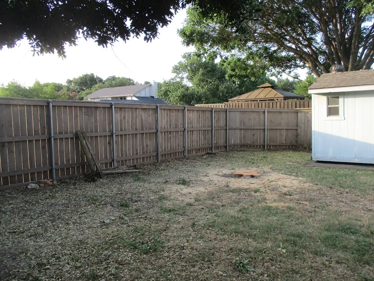 Cleared yard after professional tree removal in Maple Springs