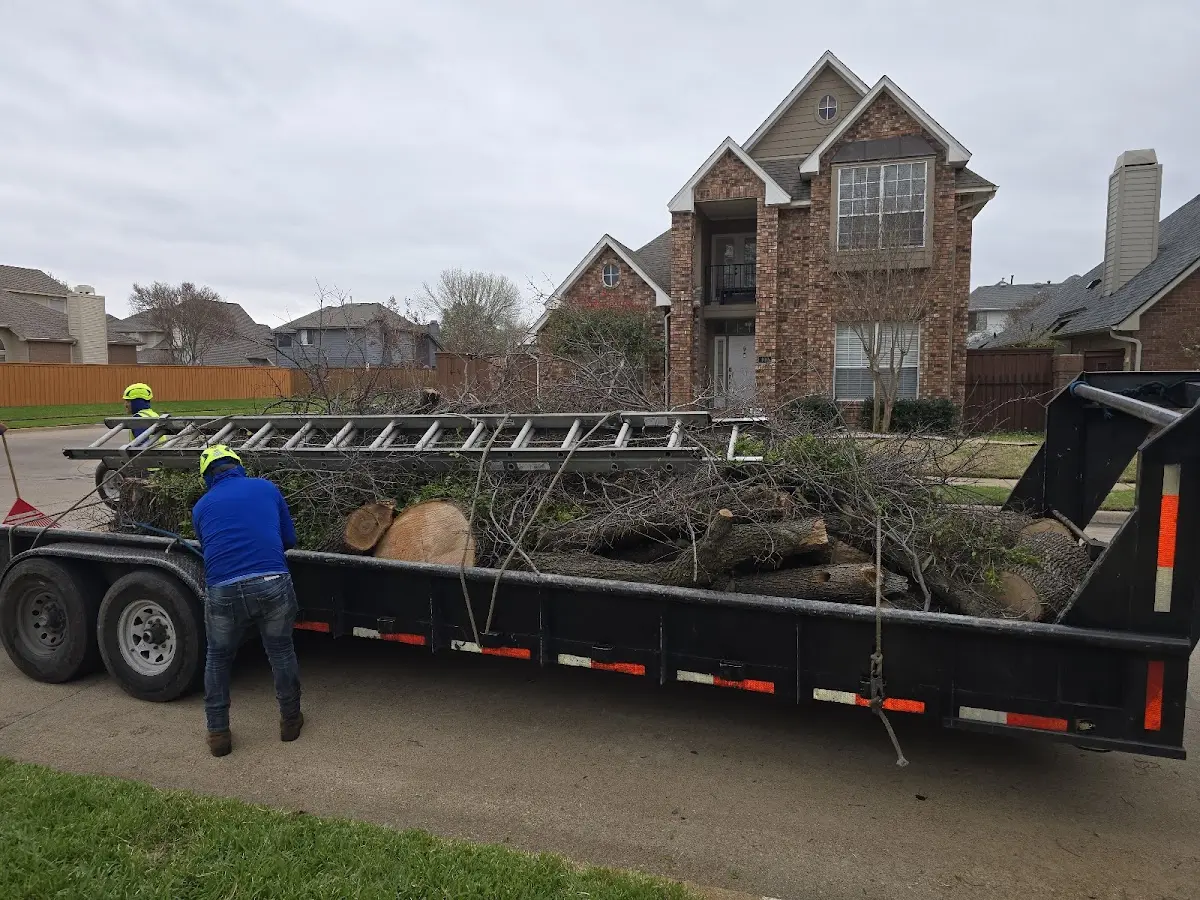 Expert Tree Removal with proper safety equipment in Maple Springs